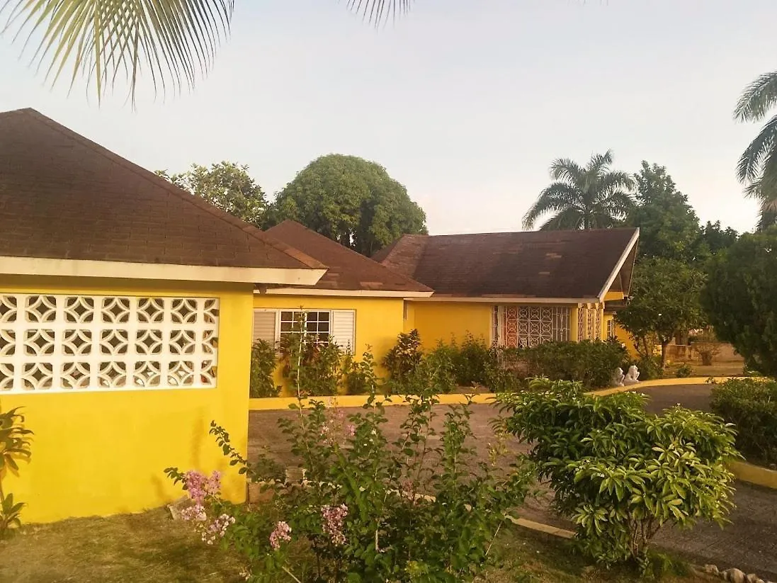 Yancey Largo Villa With Private Pool Montego Bay Jamaica