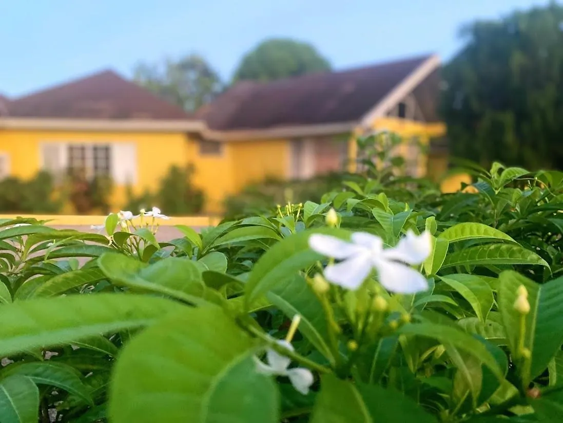 Yancey Largo Villa With Private Pool Montego Bay 0*,  Jamaica