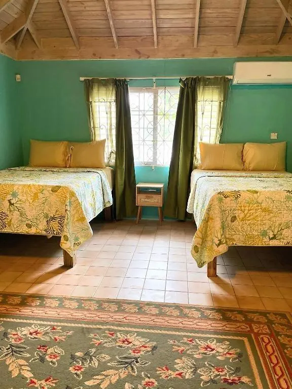 Yancey Largo Villa With Private Pool Montego Bay 0*,