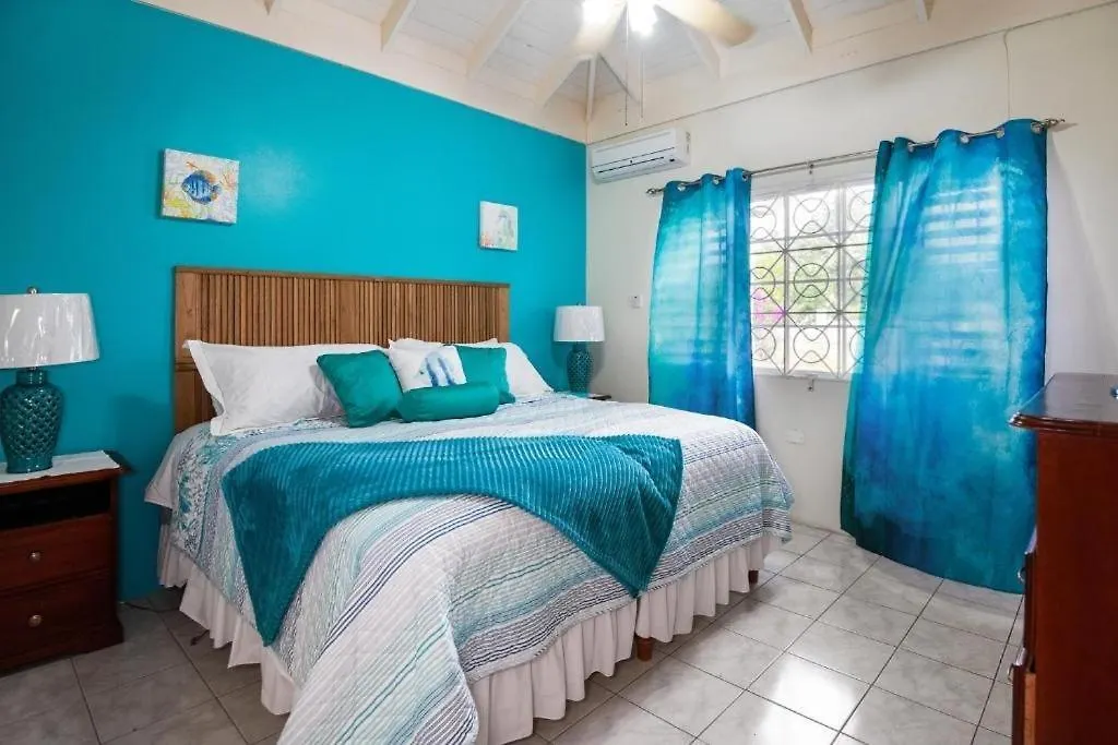 Yancey Largo Villa With Private Pool Montego Bay 0*,