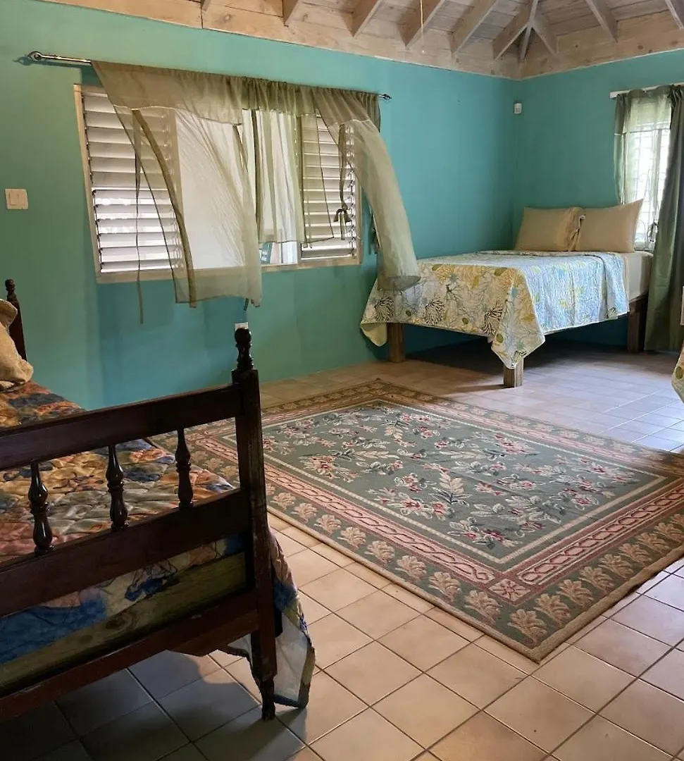 Yancey Largo Villa With Private Pool Montego Bay 0*,  Jamaica