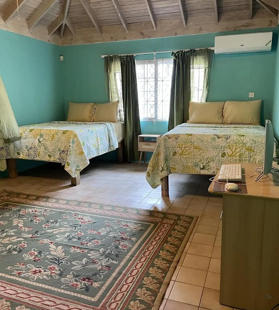 Yancey Largo Villa With Private Pool Montego Bay